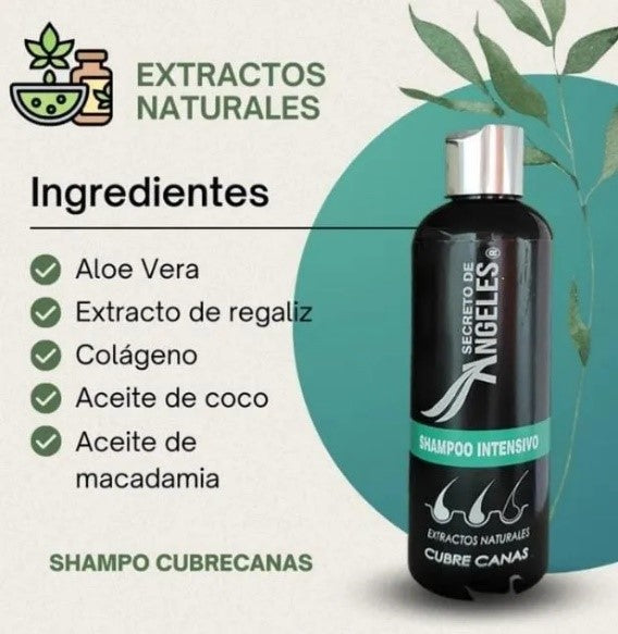 SHAMPOO CUBRECANAS + REGALO