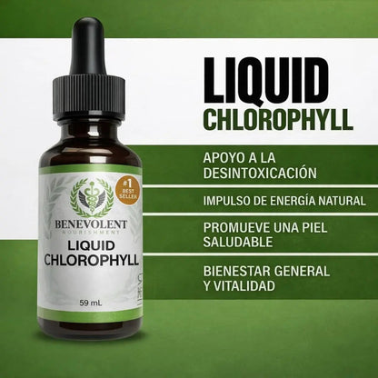 CLOROFILA BENEVOLENT – LIMPIEZA INTERNA Y FRESCURA CORPORAL
