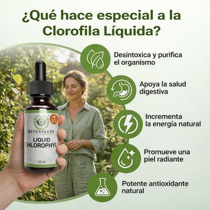 CLOROFILA BENEVOLENT – LIMPIEZA INTERNA Y FRESCURA CORPORAL