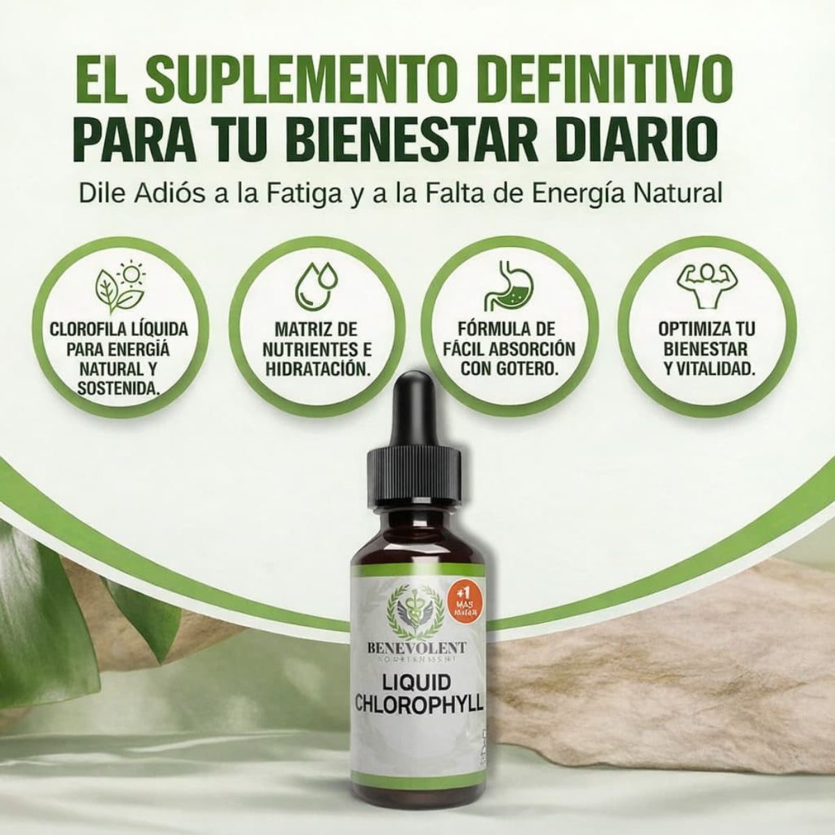 CLOROFILA BENEVOLENT – LIMPIEZA INTERNA Y FRESCURA CORPORAL