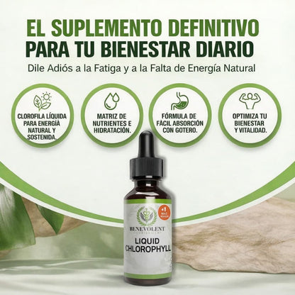 CLOROFILA BENEVOLENT – LIMPIEZA INTERNA Y FRESCURA CORPORAL