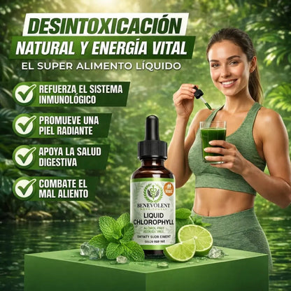 CLOROFILA BENEVOLENT – LIMPIEZA INTERNA Y FRESCURA CORPORAL