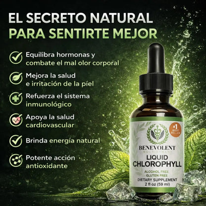 CLOROFILA BENEVOLENT – LIMPIEZA INTERNA Y FRESCURA CORPORAL