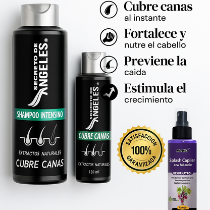 SHAMPOO CUBRECANAS + REGALO