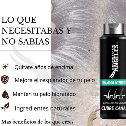 SHAMPOO CUBRECANAS + REGALO