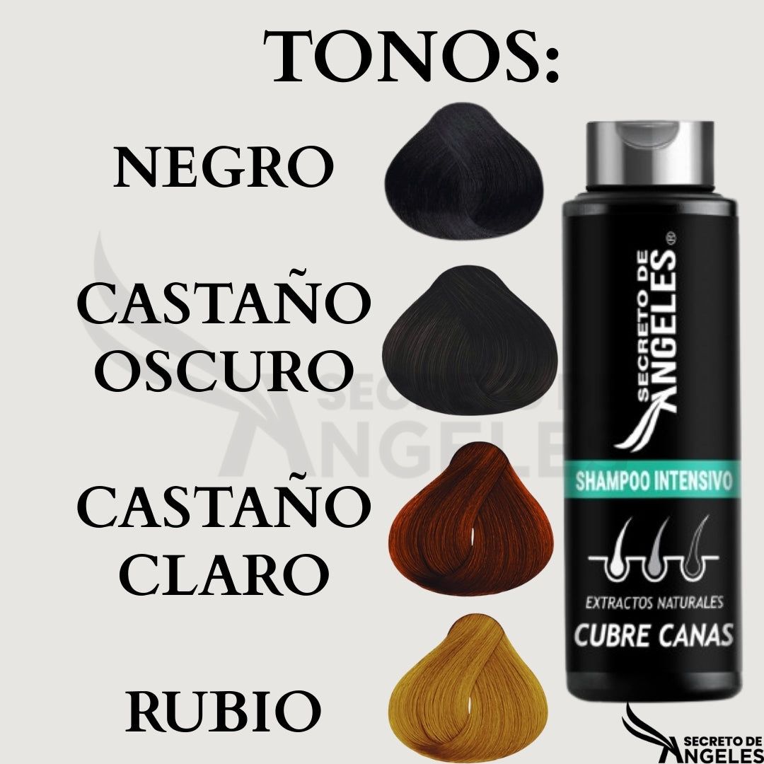 SHAMPOO CUBRECANAS + REGALO