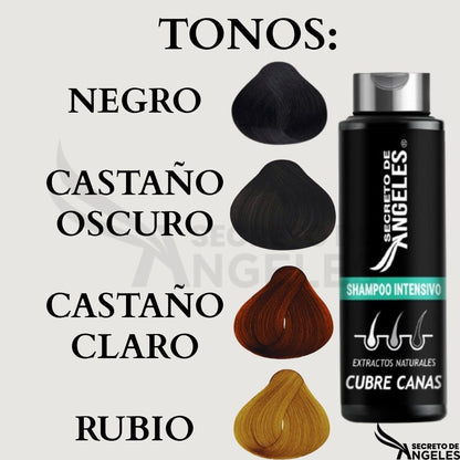 SHAMPOO CUBRECANAS + REGALO
